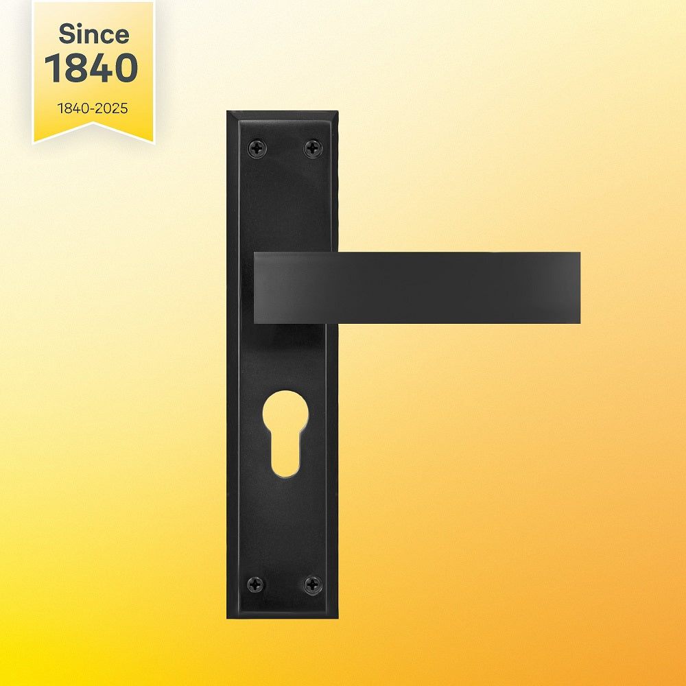 YECM Mortise Combo Door Handle and Lock Set