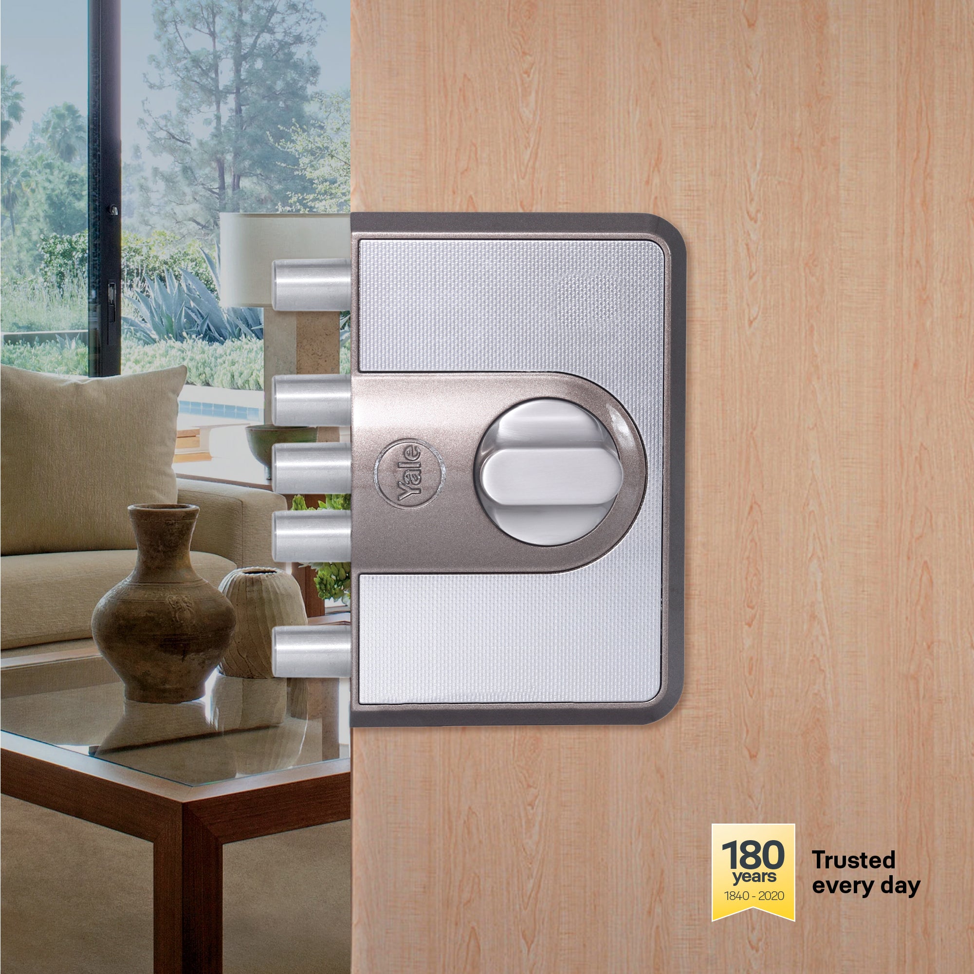 CINCOCBD500_MB_TT-03.jpg?v=