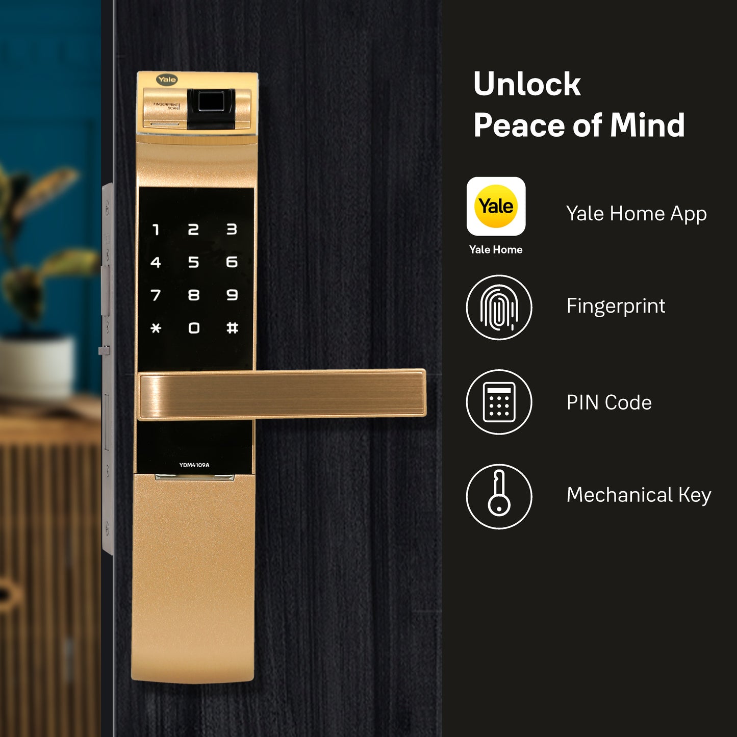 YDM 4109- A Series, Biometric Smart Lock, Gold