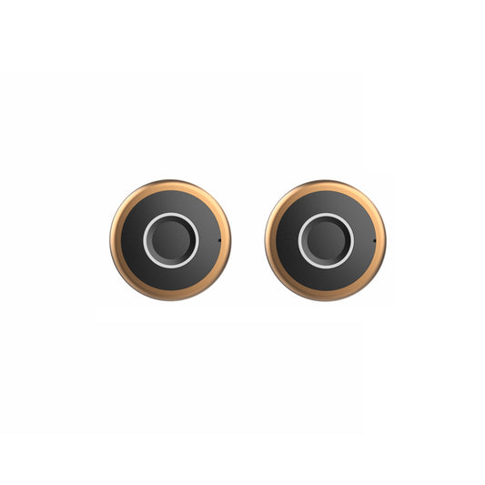 Yale YLDRPSL Biometric Smart Premium Sliding Wardrobe Lock (Rose Gold) Pack of 2