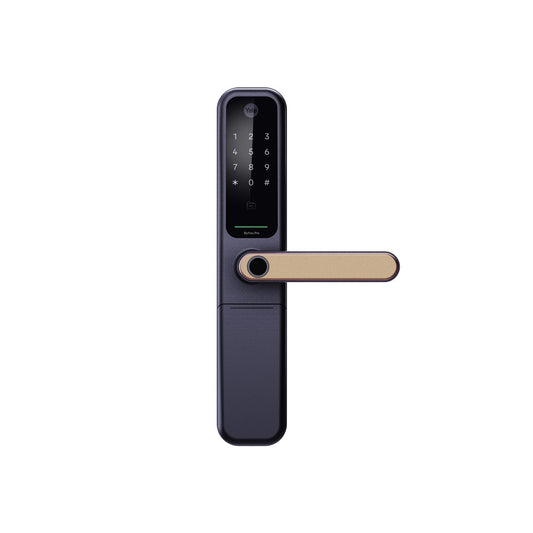 ByYou Mortise Smart Door Lock with 5 Way Unlocking Fingerprints, In-built Bluetooth, PIN Code, RFID Tag, Manual Key (Black/Gold)